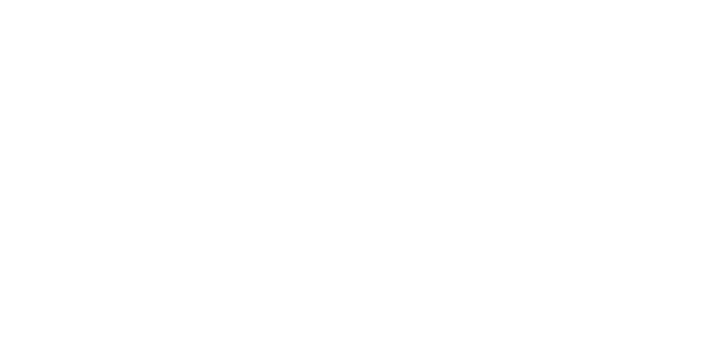 The Seaton